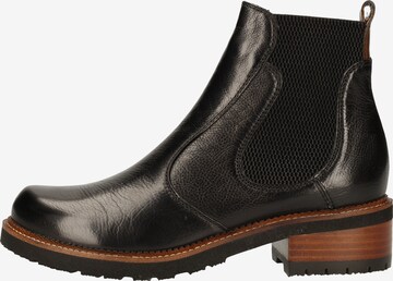 Everybody Chelsea Boots in Black