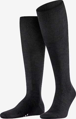 FALKE Knee High Socks 'Airport' in Black: front