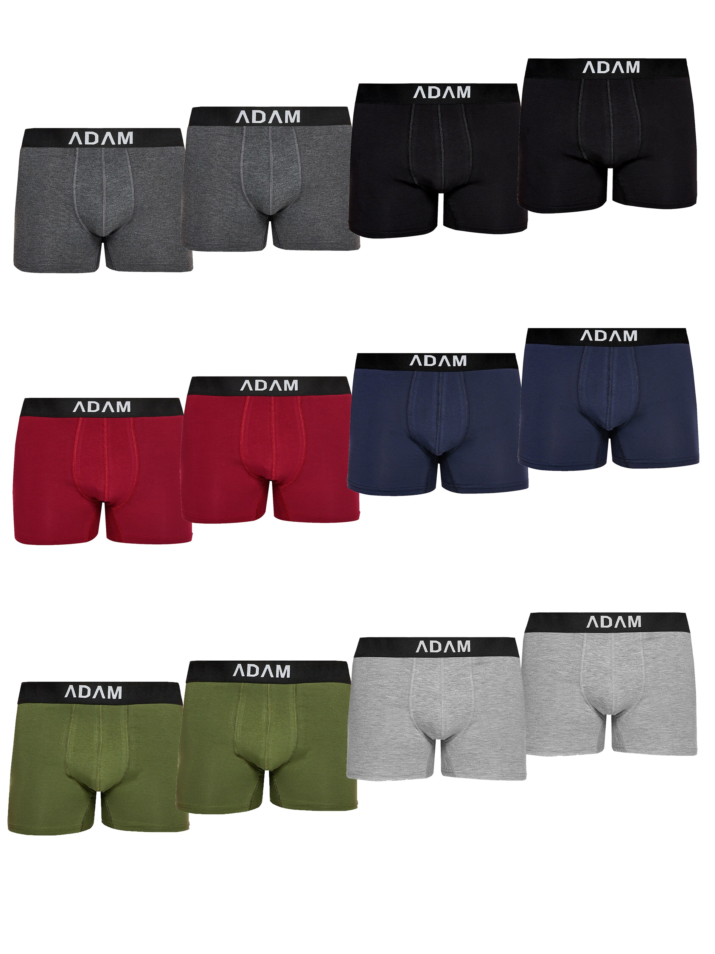 Adam Boxer shorts '12er Pack' in Mixed colors: front