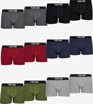 Adam Boxer shorts '12er Pack' in Mixed colors: front