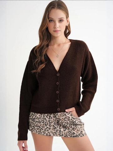 MixRay Knit Cardigan in Brown: front