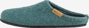 Gottstein Huisschoenen 'Alpine Comfort FE' in Groen: voorkant