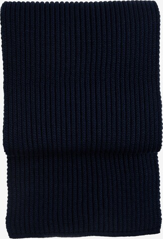 ROY ROBSON Scarf in Blue: front