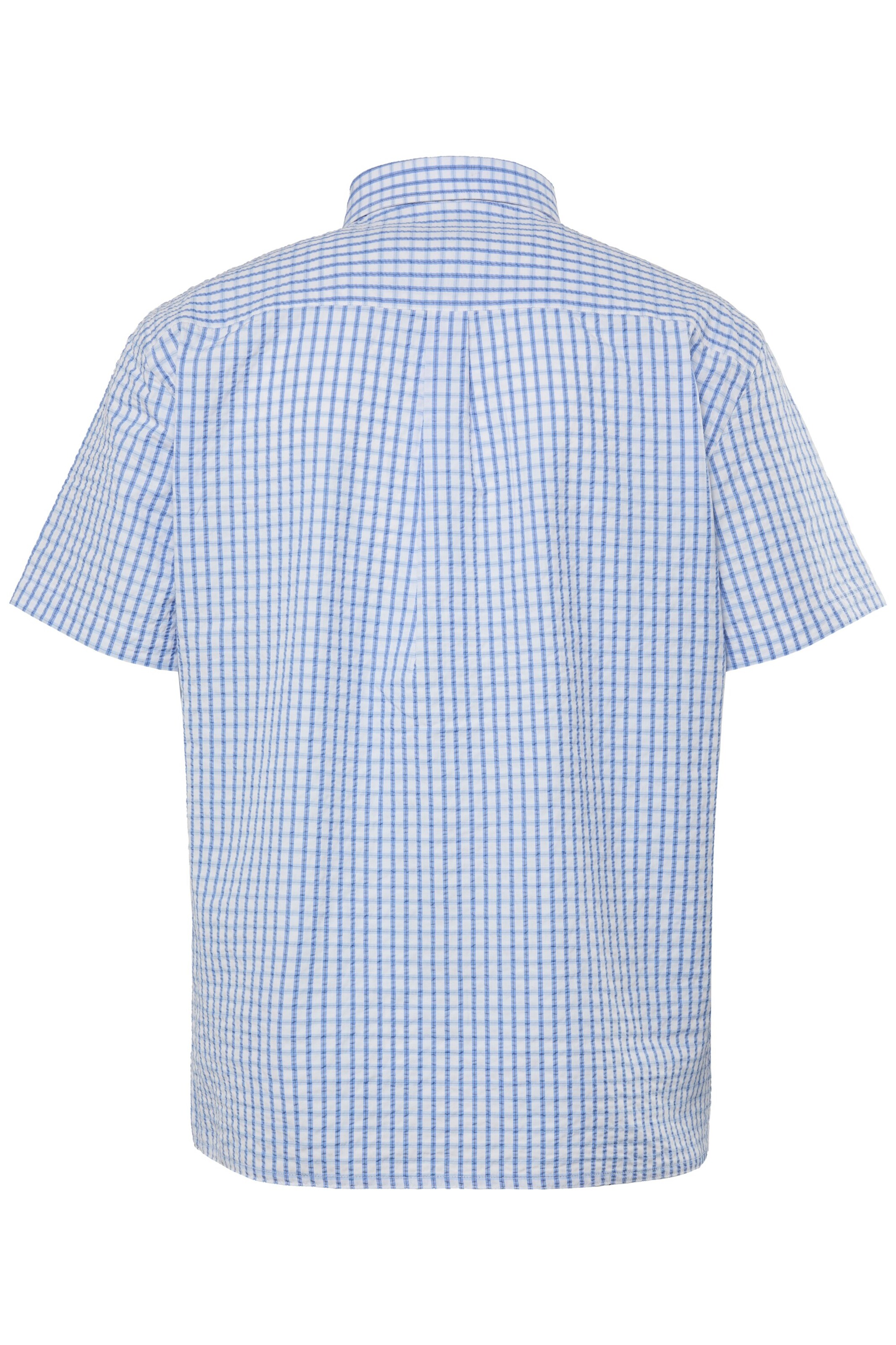 Men Plus Regular fit Button Up Shirt in Blue