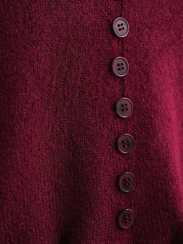 MixRay Pullover 'Pullover'‌‌‌‌ in Rot