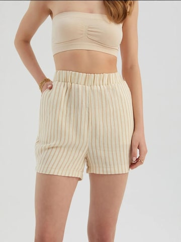 Hiccup - Regular Calças em castanho