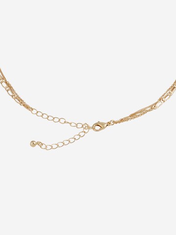 ABOUT YOU Halsband 'Tamina' i guld