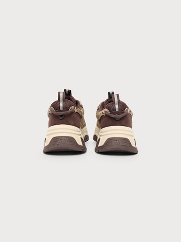 STEVE MADDEN Ниски маратонки 'Animates-LE' в кафяво