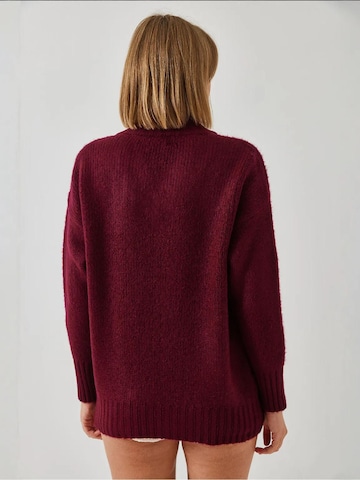 Bianco Lucci Kampsun 'Pullover', värv punane