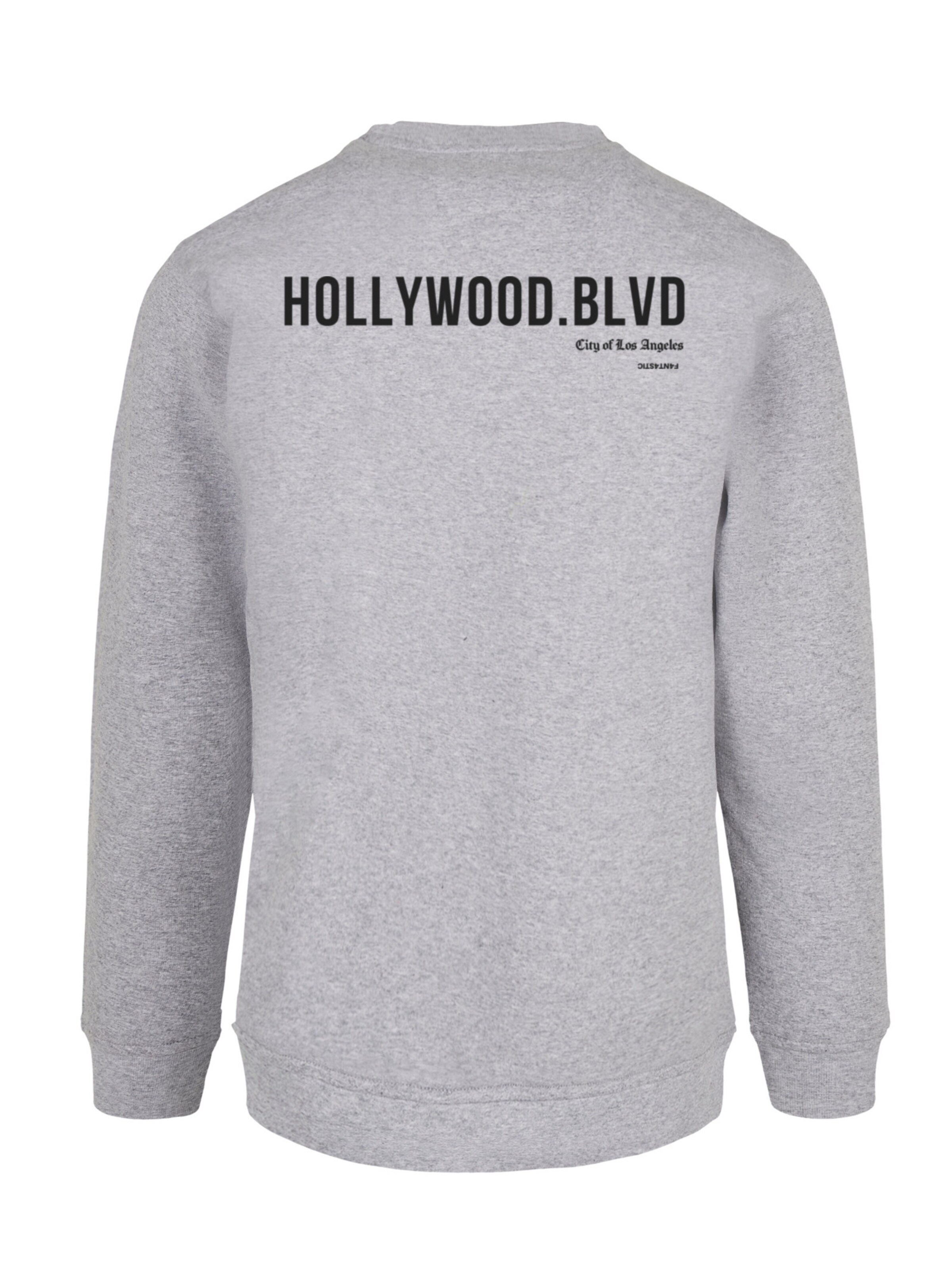 F4NT4STIC Sweatshirt 'Animal Galore ' in Grijs