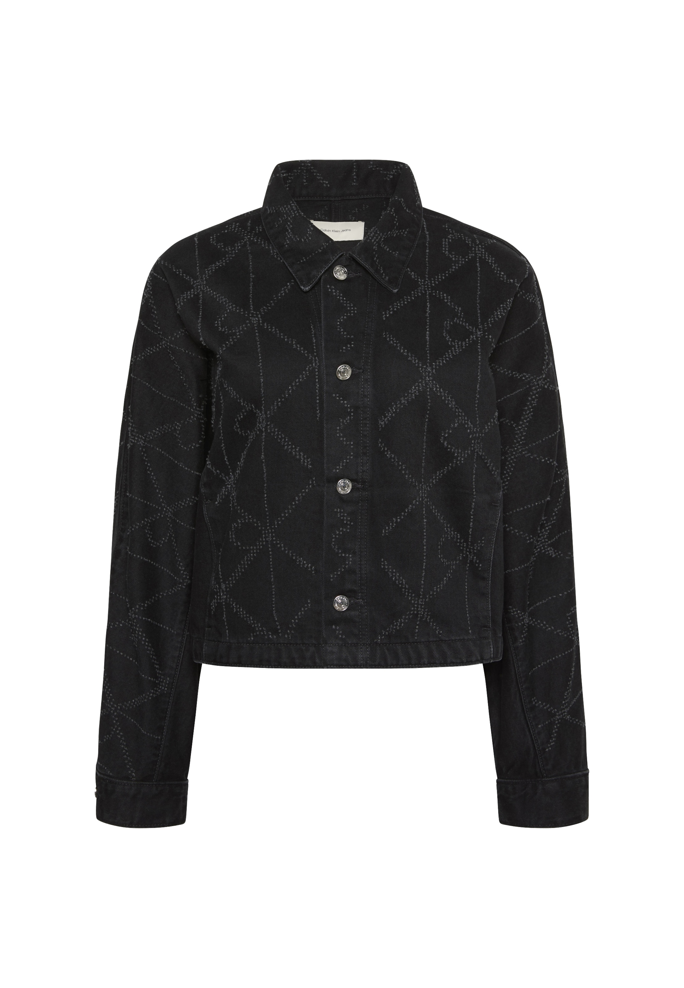Calvin Klein Jeans Regular Jacke 'DOLEMAN' in Schwarz: Vorderseite
