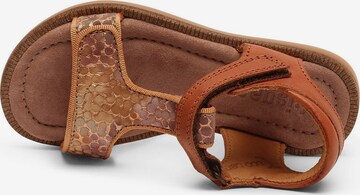 BISGAARD Sandals 'Alma' in Brown