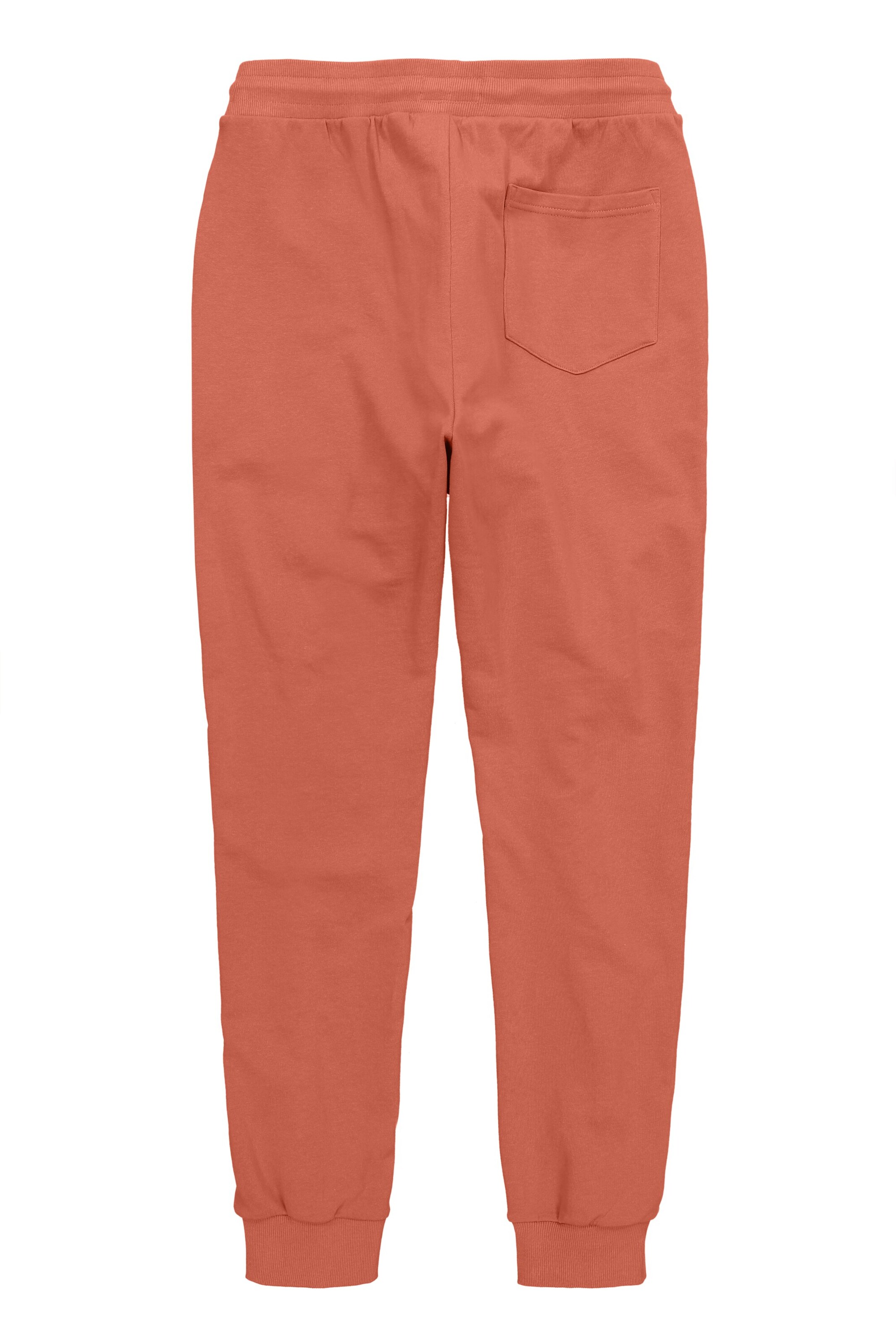 Men Plus Tapered Pants in Brown