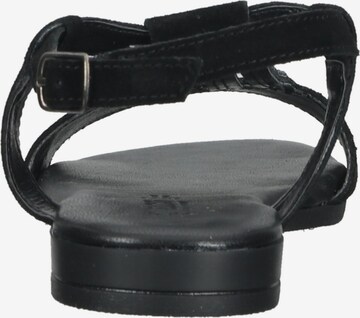 IGI&CO Sandalen met riem in Zwart