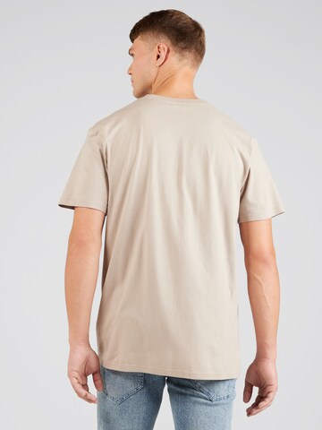 HOLLISTER T-shirt i brun