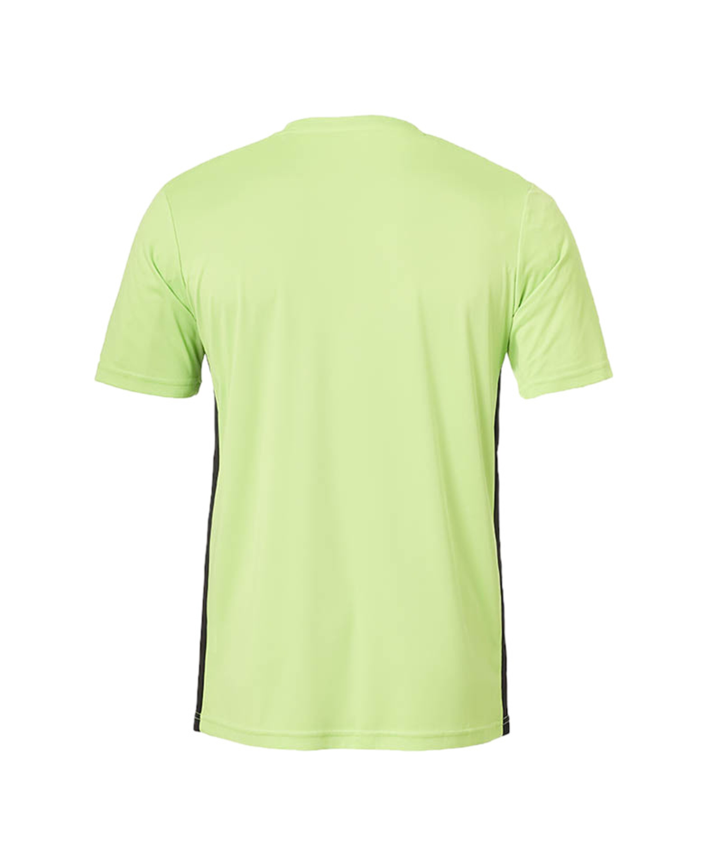 UHLSPORT Trikot 'Team Essential' in Grün