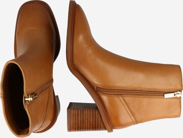 ALDO Bootie 'FILLY' in Brown