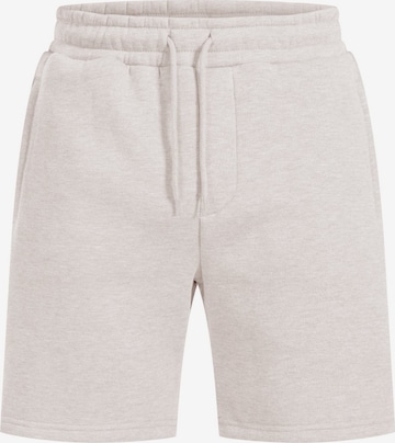 Pantalon de sport Smilodox en beige : devant