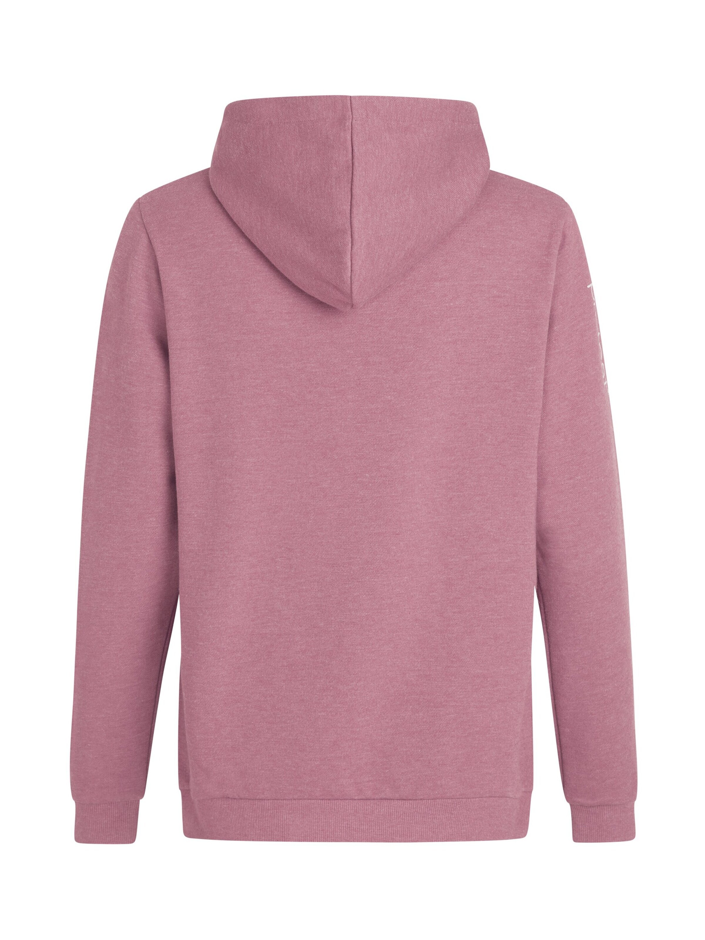 PROTEST Sweater 'CLASSIC LOGO HOODY' in Purple