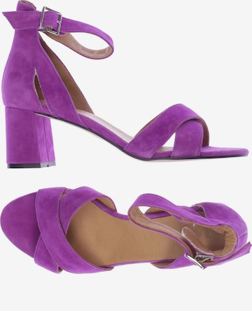 Shoe The Bear Sandals & High-Heeled Sandals in 41 in Purple: front