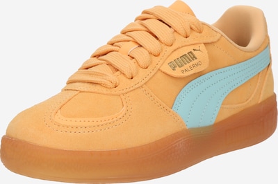 PUMA Nízke tenisky 'Palermo' - vodová / marhuľová, Produkt