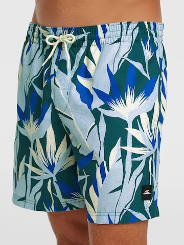 O'NEILL Športne kopalne hlače | modra barva