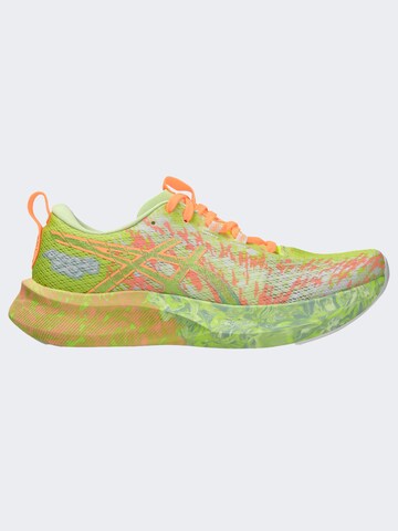 ASICS Laufschuh 'Noosa Tri 16' in Grün