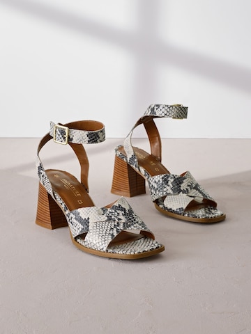 Next Sandalen met riem in Grijs