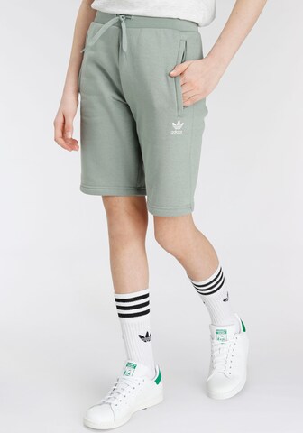 ADIDAS ORIGINALS - Regular Calças 'Adicolor' em verde: frente