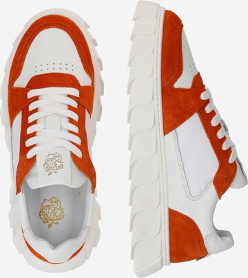 Apple of Eden Sneakers laag 'LONDON' in Oranje