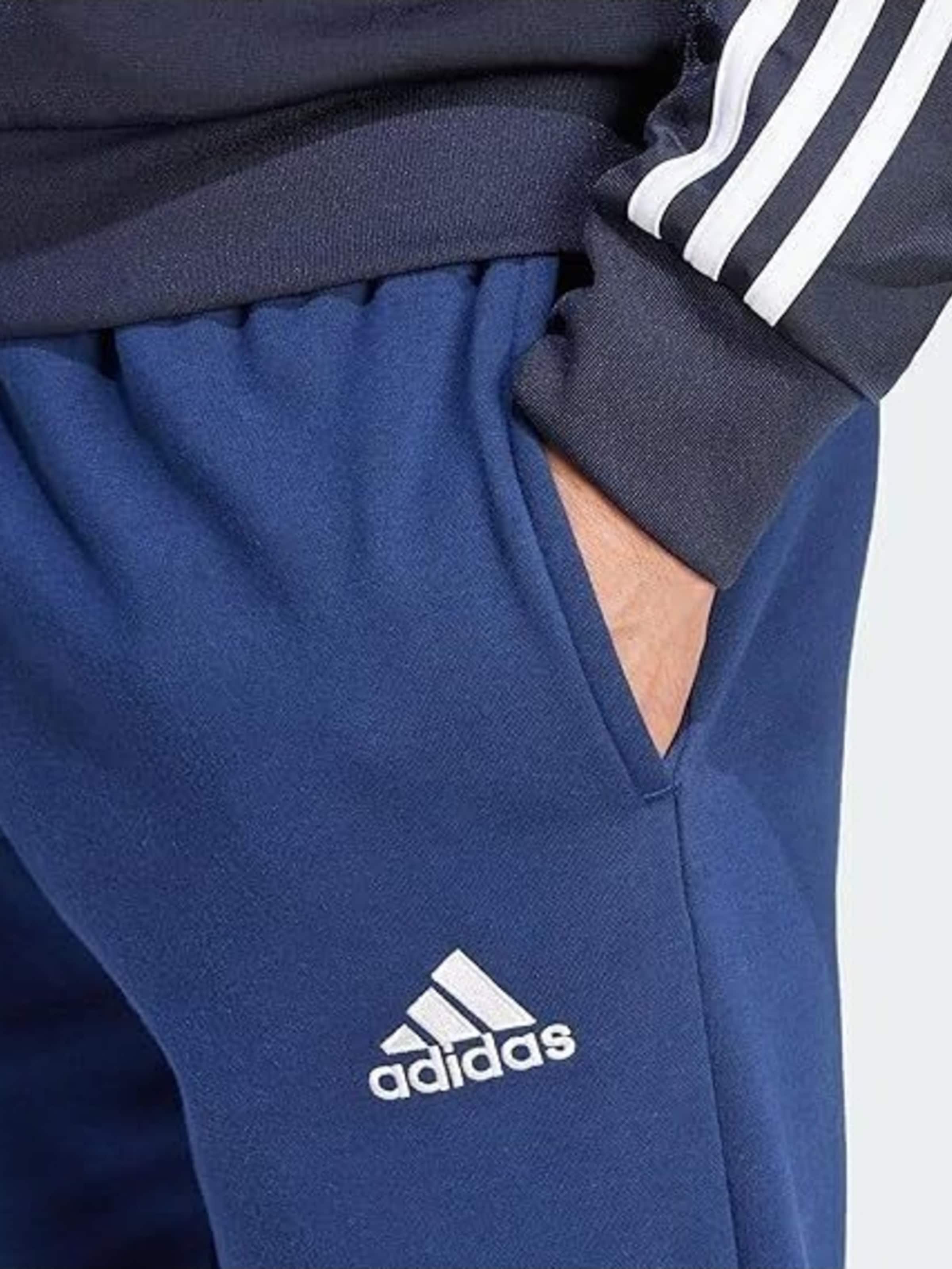 regular Pantaloni sportivi 'Entrada 22' di ADIDAS in blu