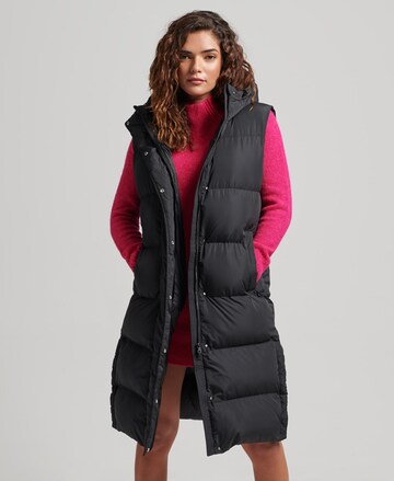 Superdry Bodywarmer in Zwart: voorkant