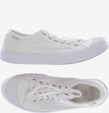 Palladium Sneakers & Trainers in 37 in White: front