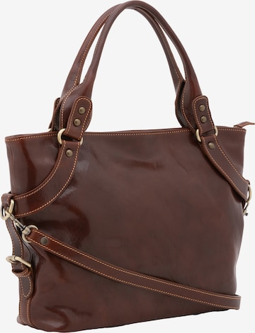 Viola Castellani Handbag in Brown: front