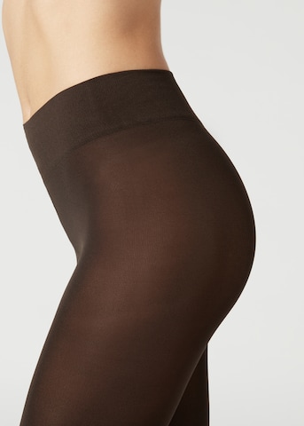 CALZEDONIA Tights in Brown