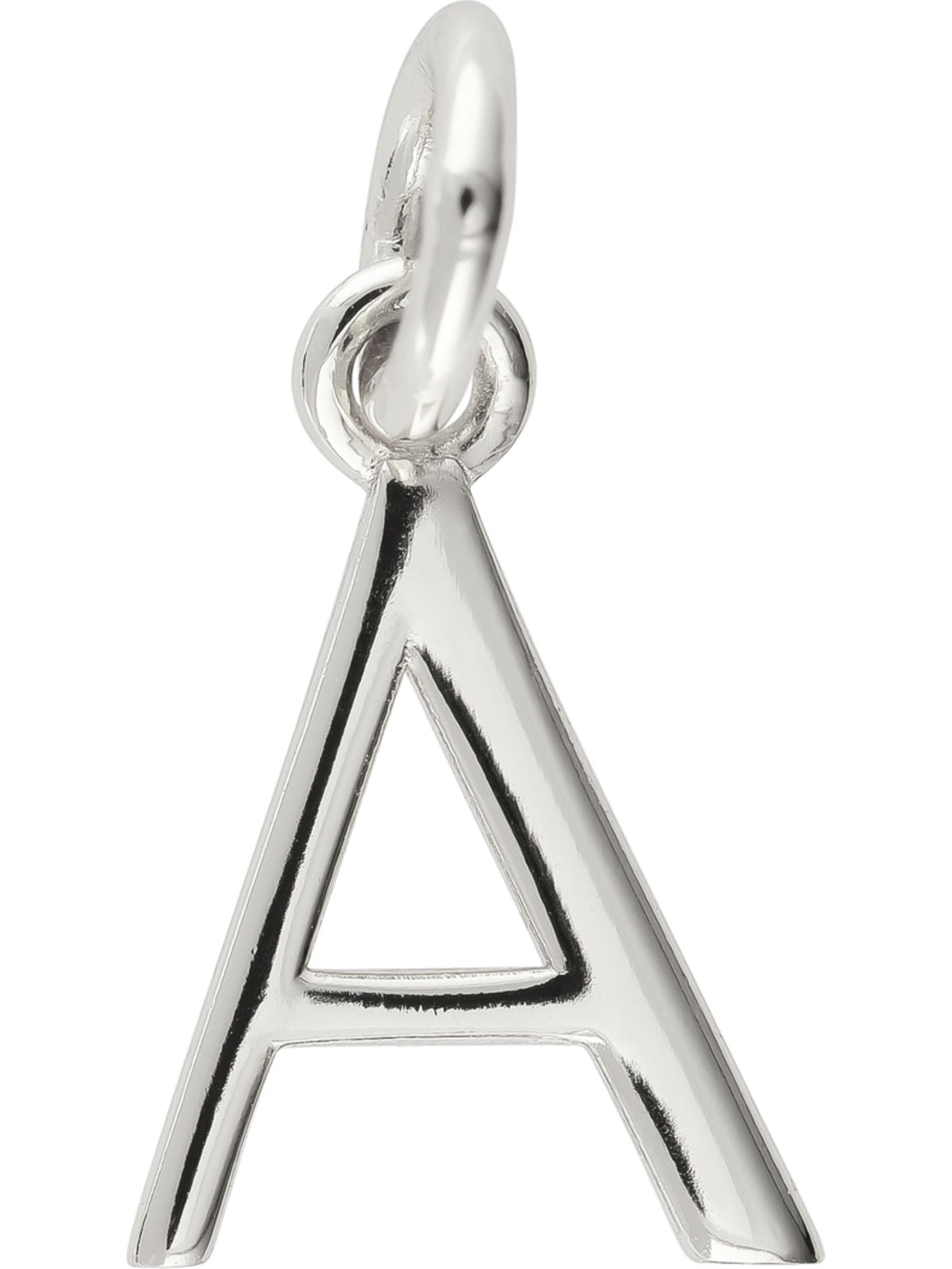 FAVS Anhänger in Silber: Vorderseite