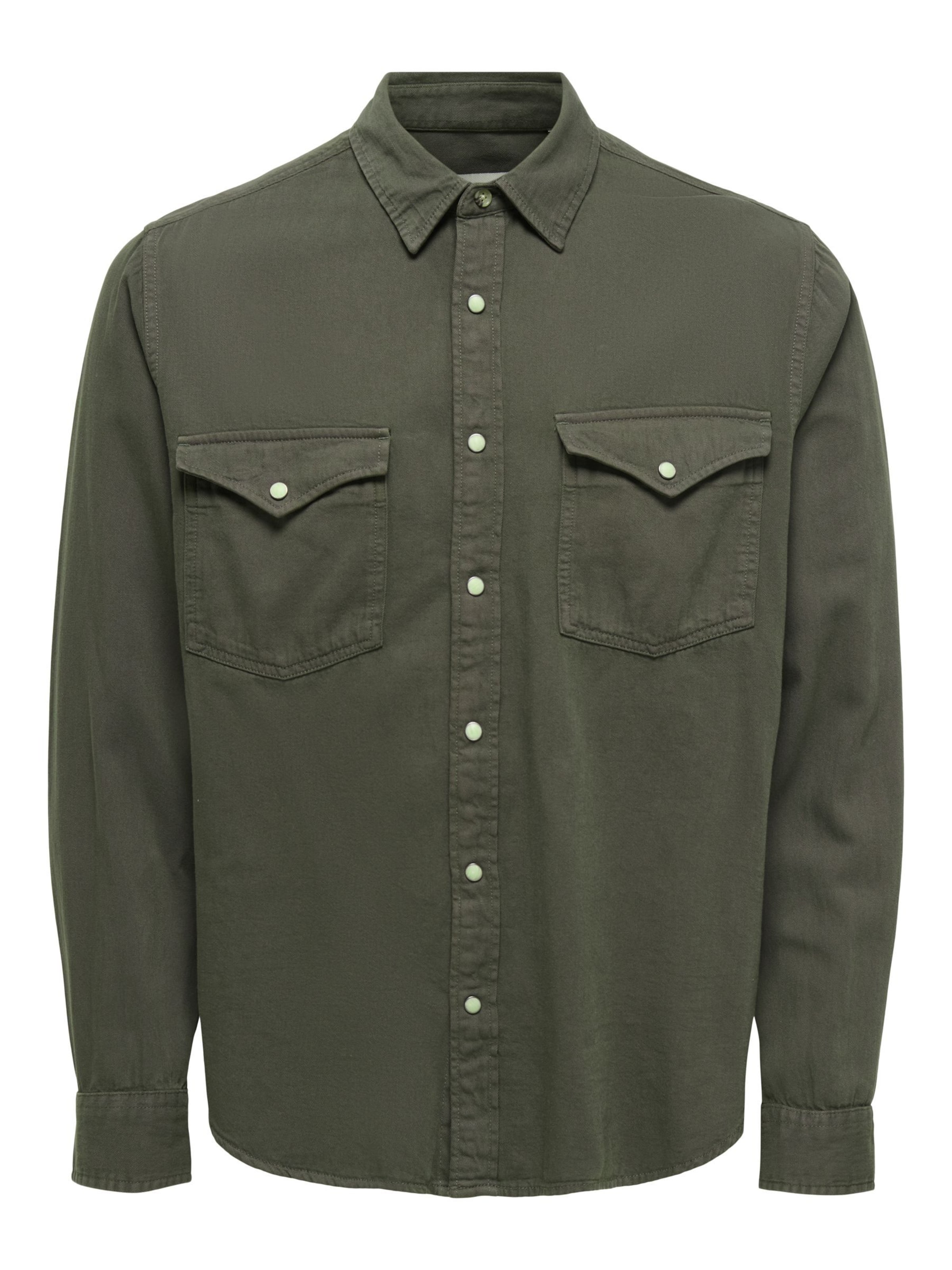 Only & Sons Button Up Shirt 'ONSRAY' in L in Green, Item view