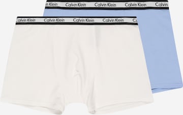 mėlyna Calvin Klein Underwear Apatinės kelnaitės: priekis