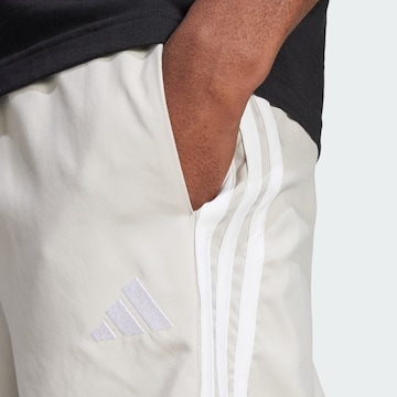 ADIDAS SPORTSWEAR Обычный Спортивные штаны 'Essentials Chelsea' в Серый