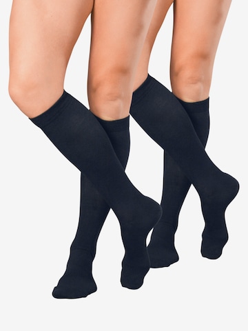 celodoro Knee High Socks 'Traveller' in Blue: front