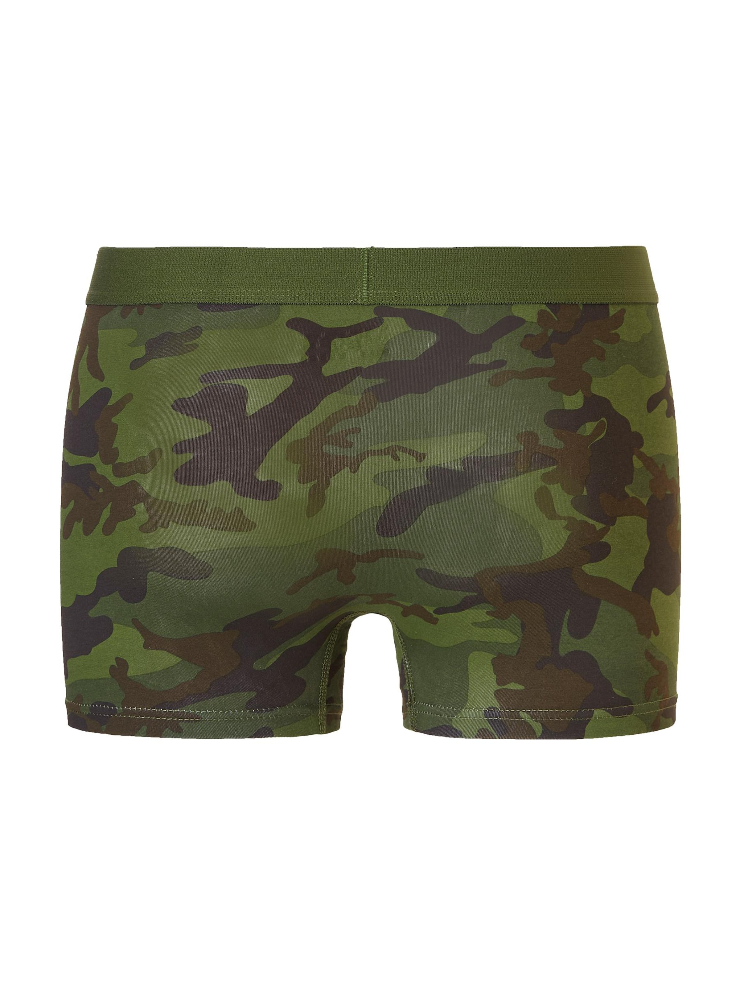 CATERPILLAR Boxershorts 'CAT  2-Pack' in Groen