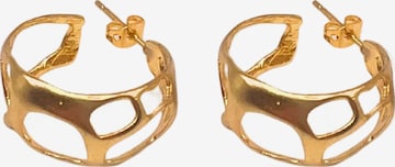 Les Reines Korvakoru 'Golden Grid' värissä kulta: etupuoli