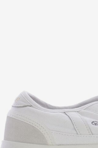LACOSTE Sneakers & Trainers in 35,5 in White