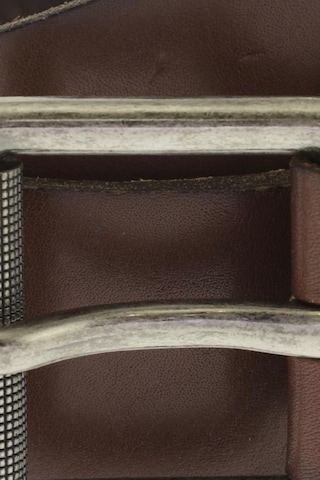 FOSSIL Belt in One size in Brown