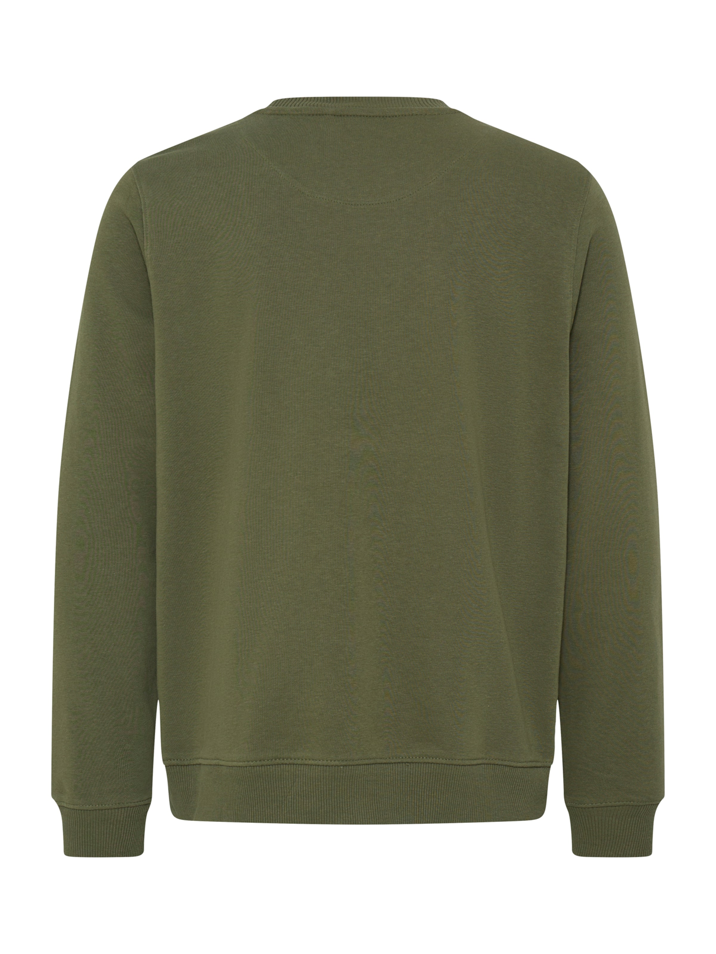 Bluză de molton 'BHKANE' de la BLEND pe verde