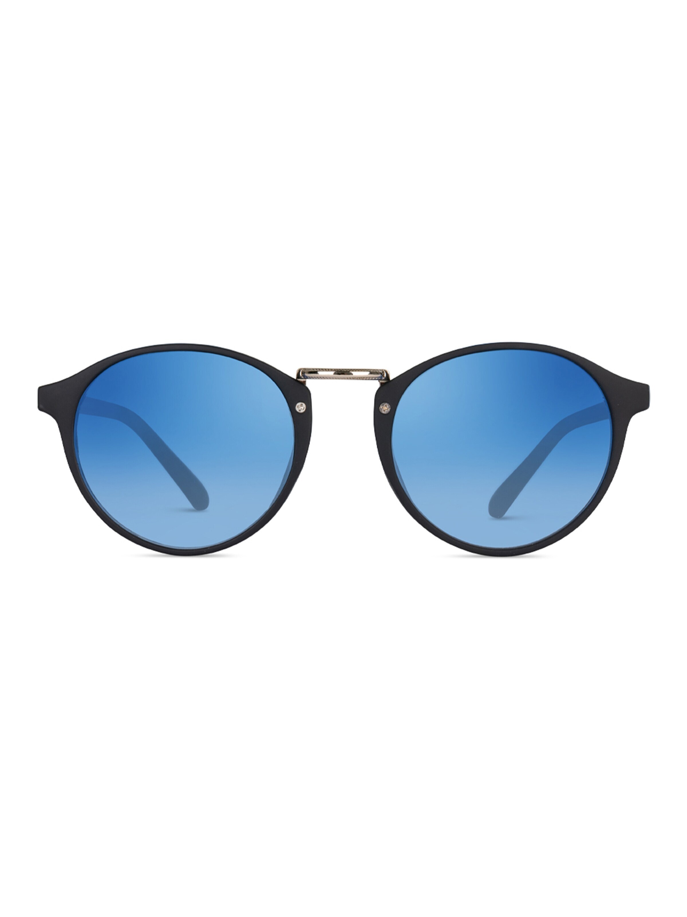 TWIG Concept Milano Sunglasses 'Picasso' in Blue: front