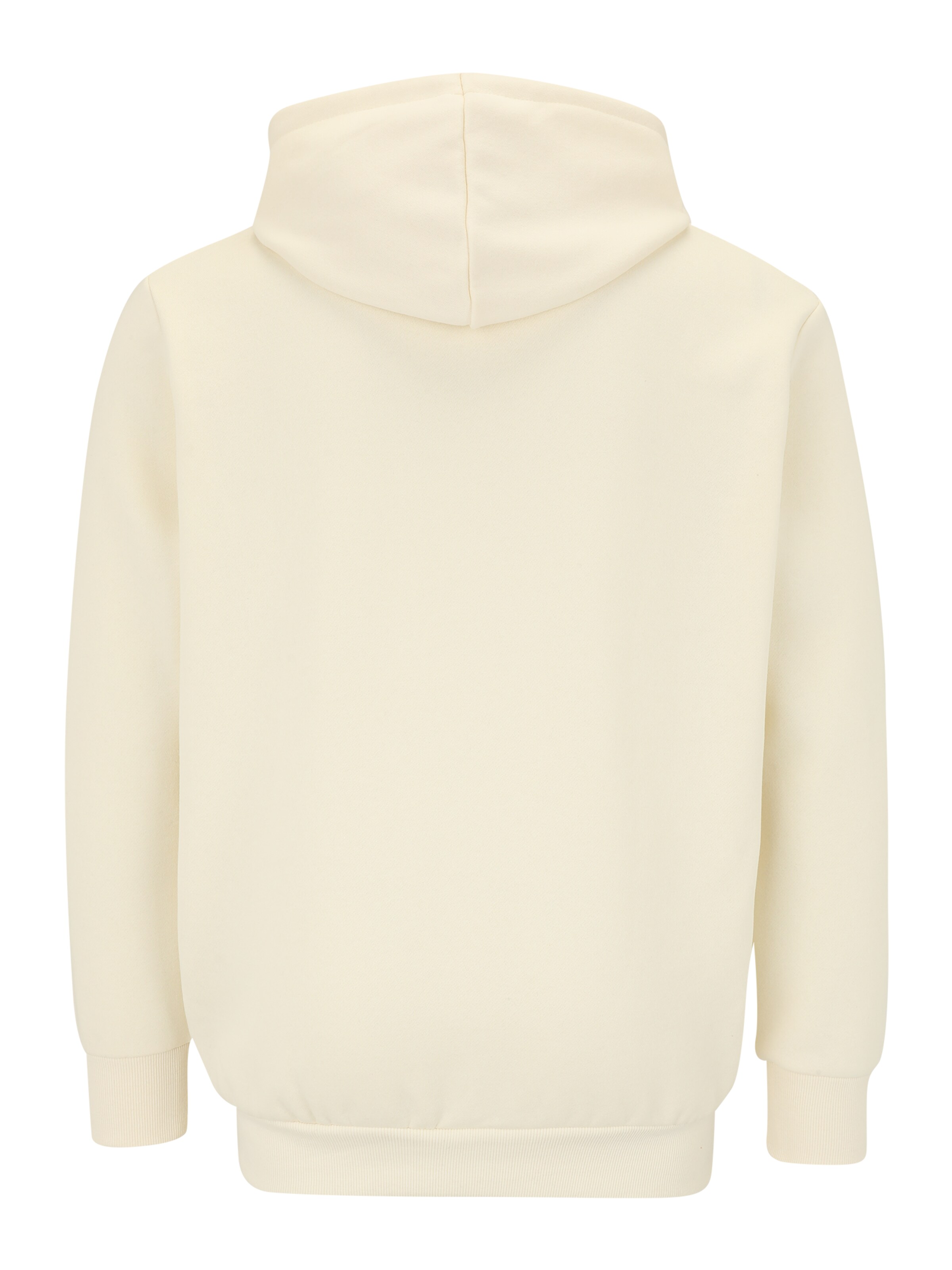Jack & Jones Plus - Sudadera 'JJMAKOTO' en blanco
