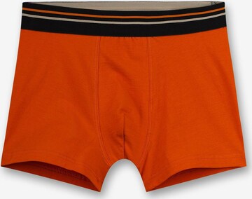 SANETTA Underpants in Orange