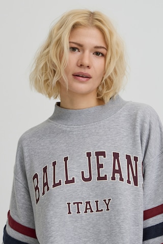 Ball Sweatshirt 'Arian' in Grey