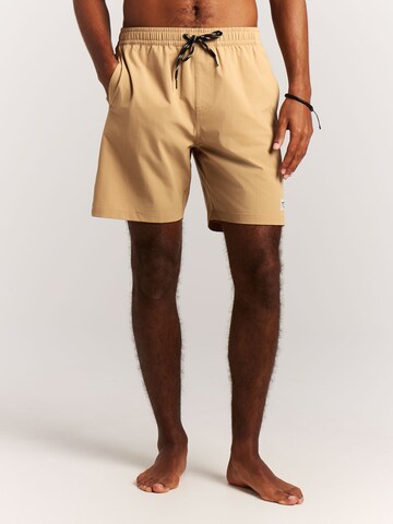 PROTEST Badeshorts 'PRTBaky'‌‌‌‌‌‌‌‌ in Braun